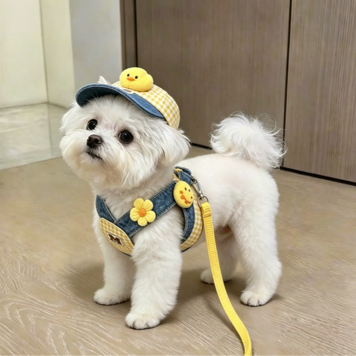 夏季狗狗胸背牵引套装遮阳帽