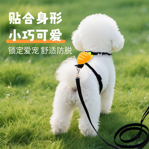 狗狗牵引绳胡萝卜工字式透气绳