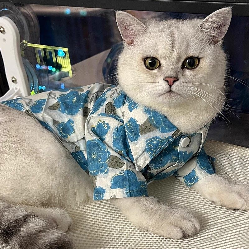 宠物猫咪衣服防掉毛薄款夏季衬衫