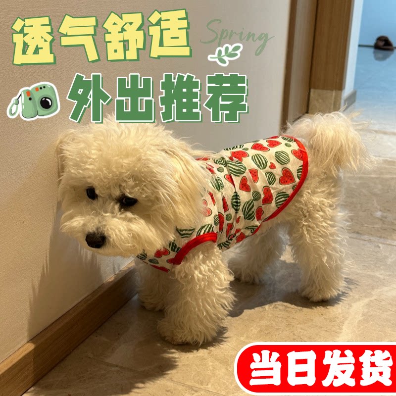 夏季薄款透气马甲宠物猫咪服装