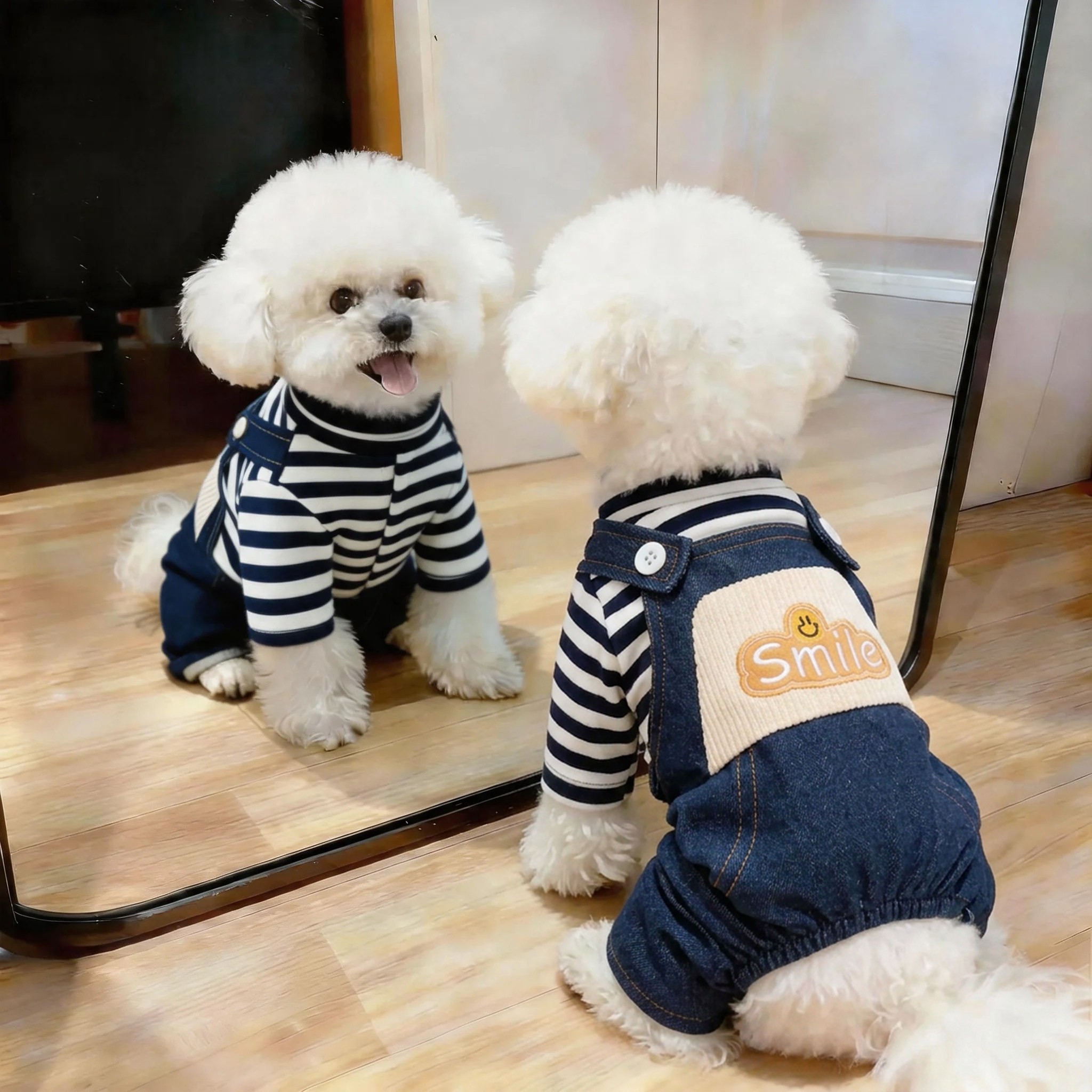 狗狗衣服秋季新款高颜值中小型犬泰迪比熊雪纳瑞狗狗保暖外出防脏