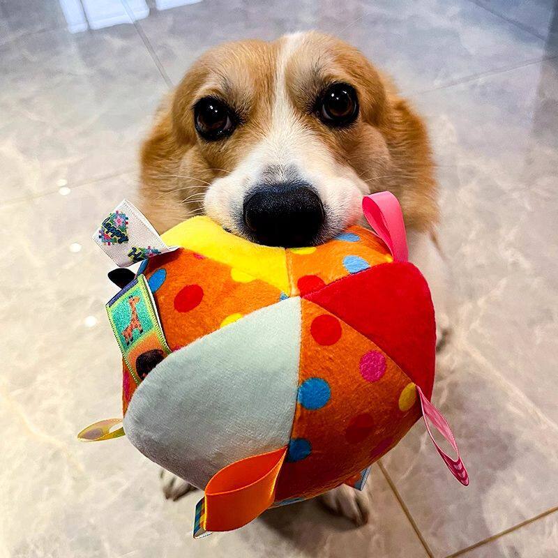 狗狗玩具发声球自嗨解闷神器宠物柴犬泰迪耐咬磨牙毛绒球消耗体力