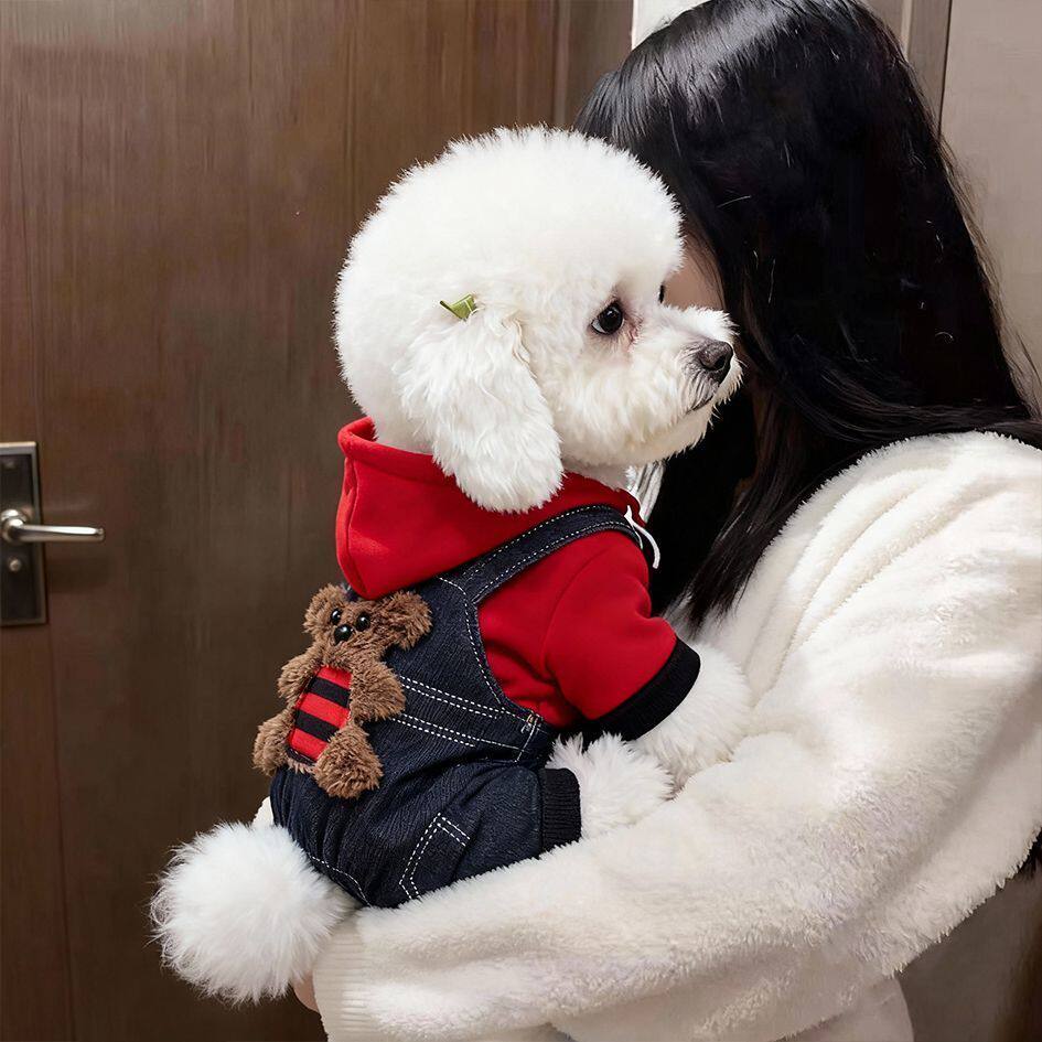 狗狗衣服加绒加厚宠物四脚衣小熊背带裤小型犬比熊泰迪防寒棉服