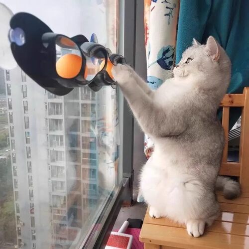 吸盘轨道乒乓球自嗨解闷逗猫棒