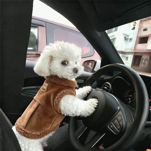 狗狗衣服秋冬装泰迪比熊博美小型犬宠物衣服可牵引加厚保暖绒马甲