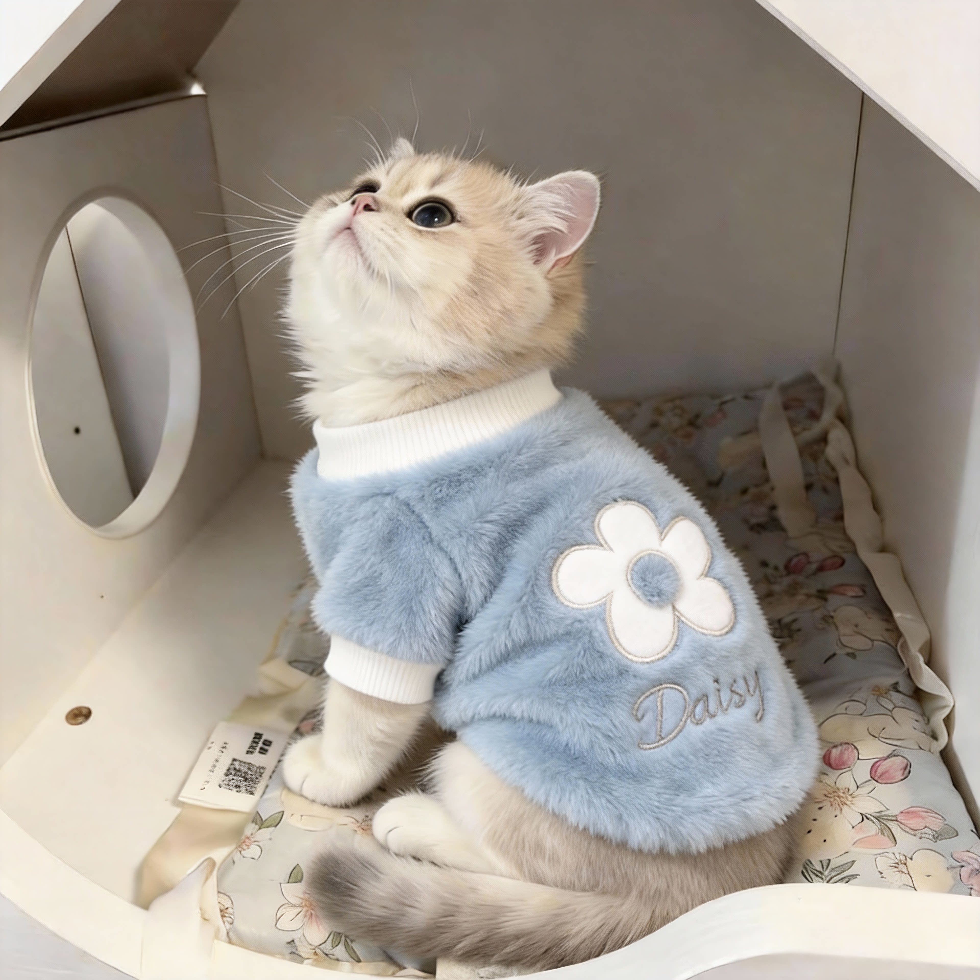 猫咪衣服秋冬装加绒布偶英短橘猫幼猫小奶猫狗狗衣服泰迪比熊衣服