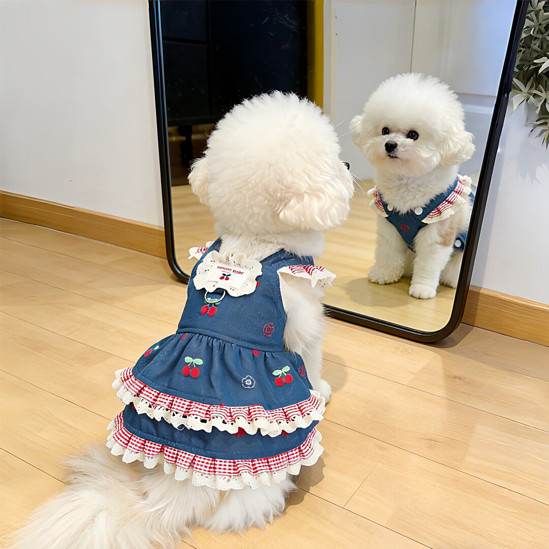 夏季樱桃牛仔小型犬公主裙透气
