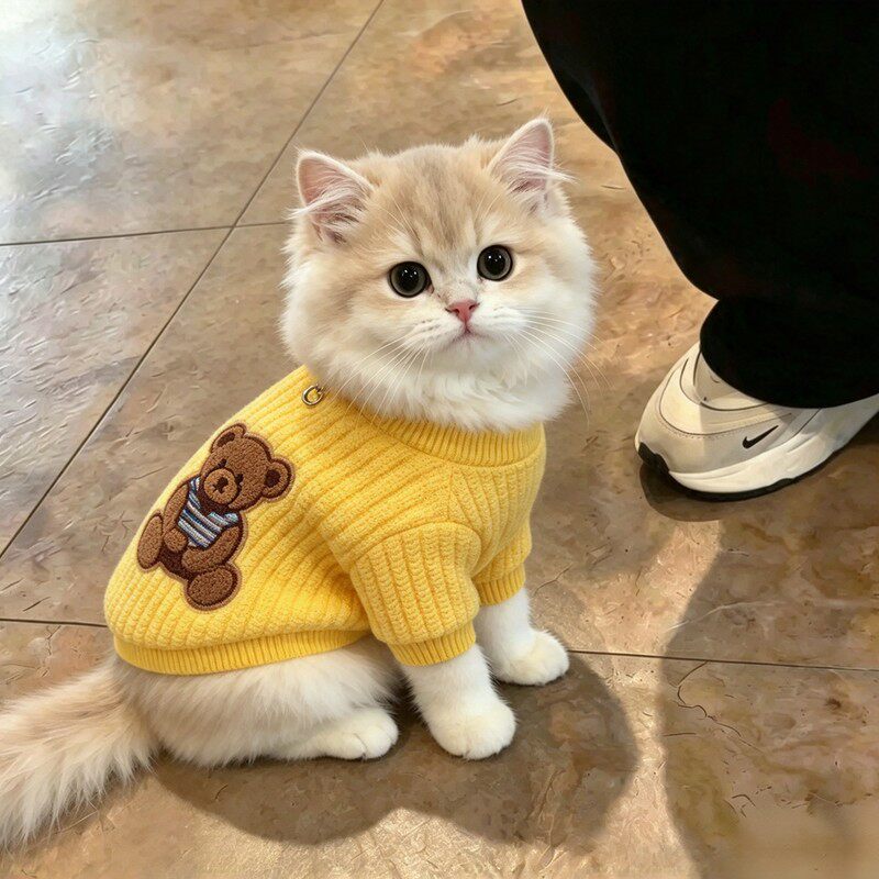 秋冬毛绒可牵引猫狗通用卫衣