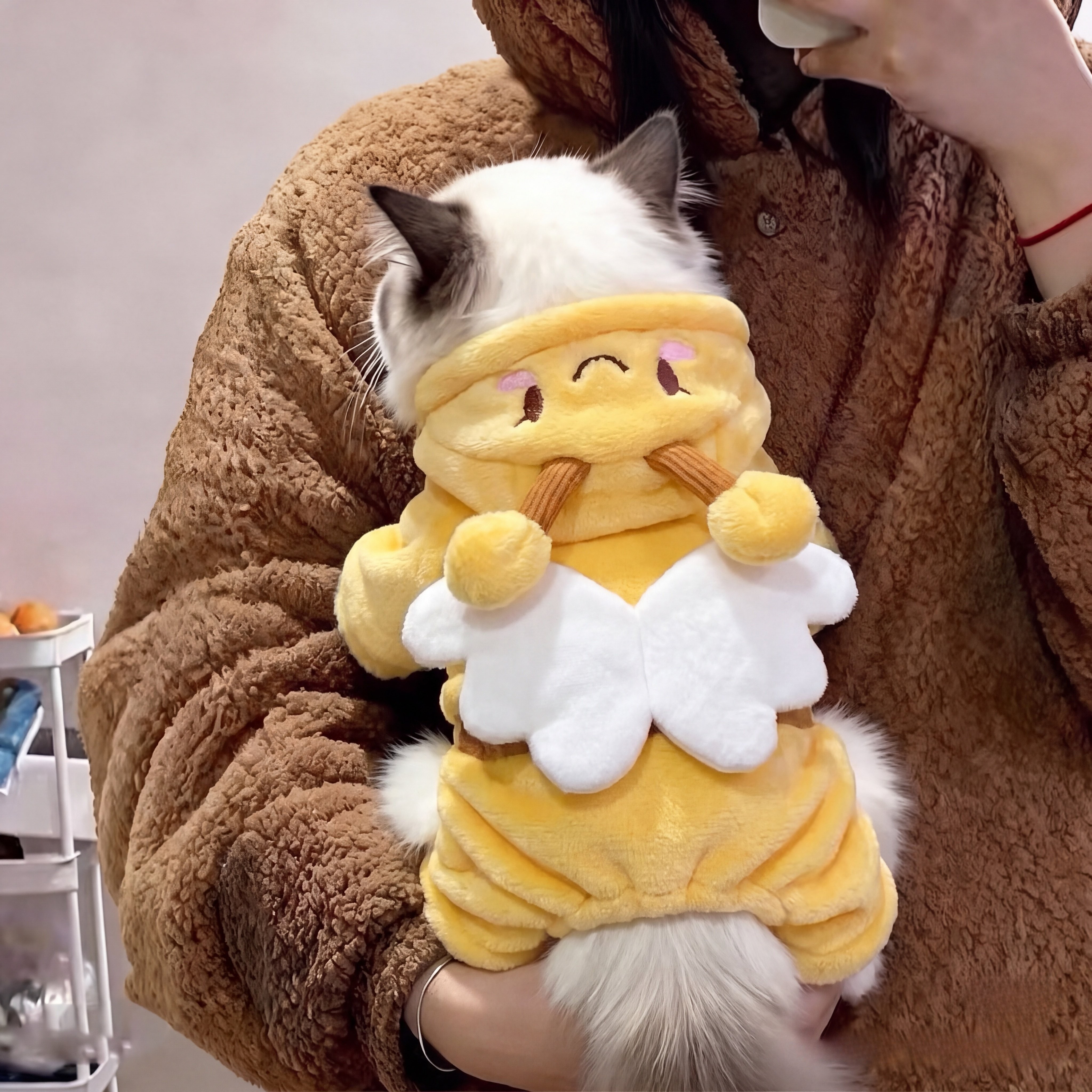 小猫咪衣服冬装防掉毛加绒加厚宠物棉衣防寒狗狗四脚衣服2026新款