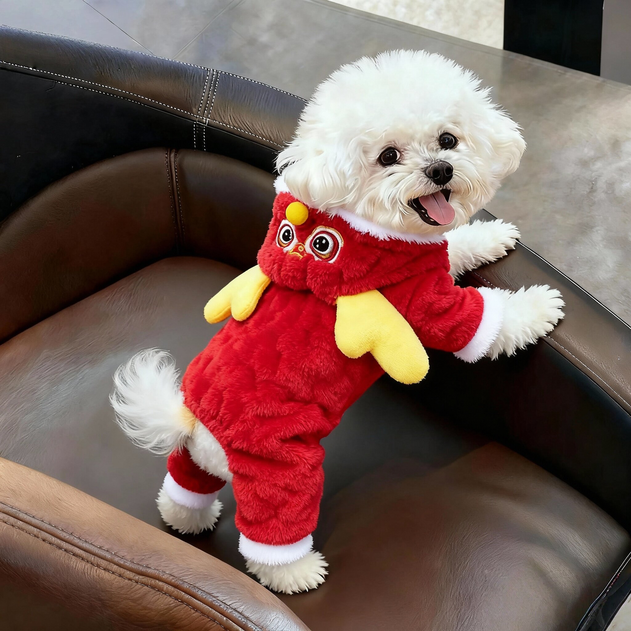 狗狗衣服秋冬装泰迪比熊博美宠物衣服加绒加厚新年猫咪衣服四脚衣