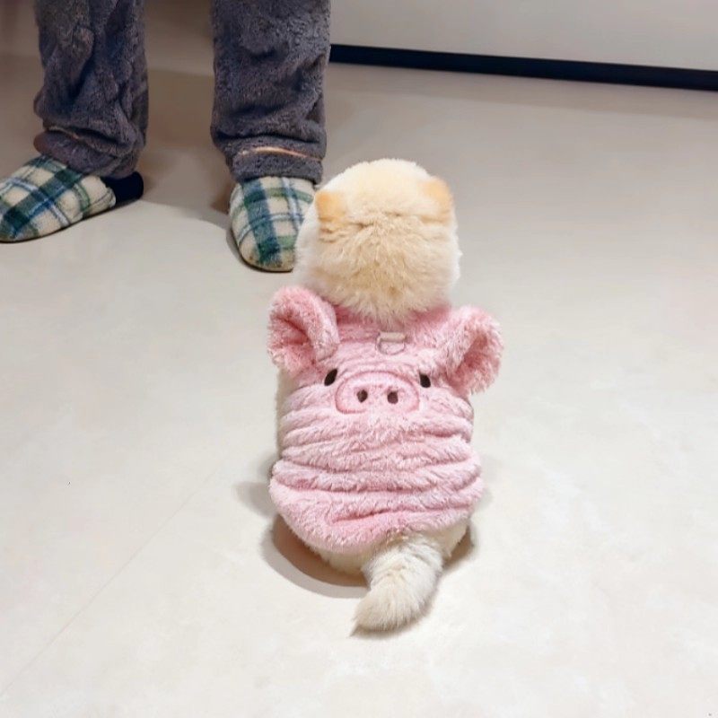 小狗衣服可爱小猪绒衣泰迪比熊博美宠物衣服小型犬猫咪衣服可牵引
