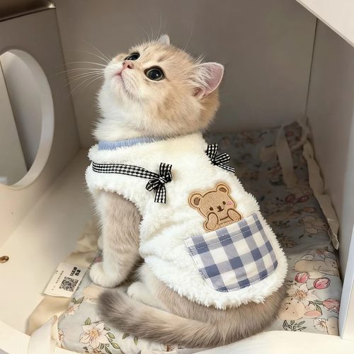 猫咪衣服秋冬装金渐层银渐层绒衣