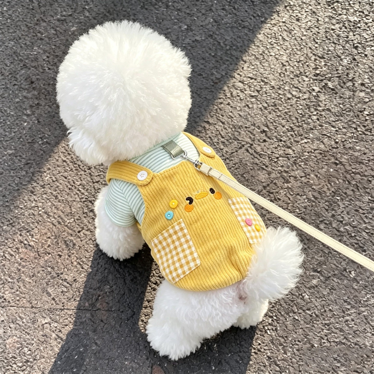 狗狗衣服春秋薄款中小型犬可爱可牵引防掉毛比熊雪纳瑞柯基背带裤
