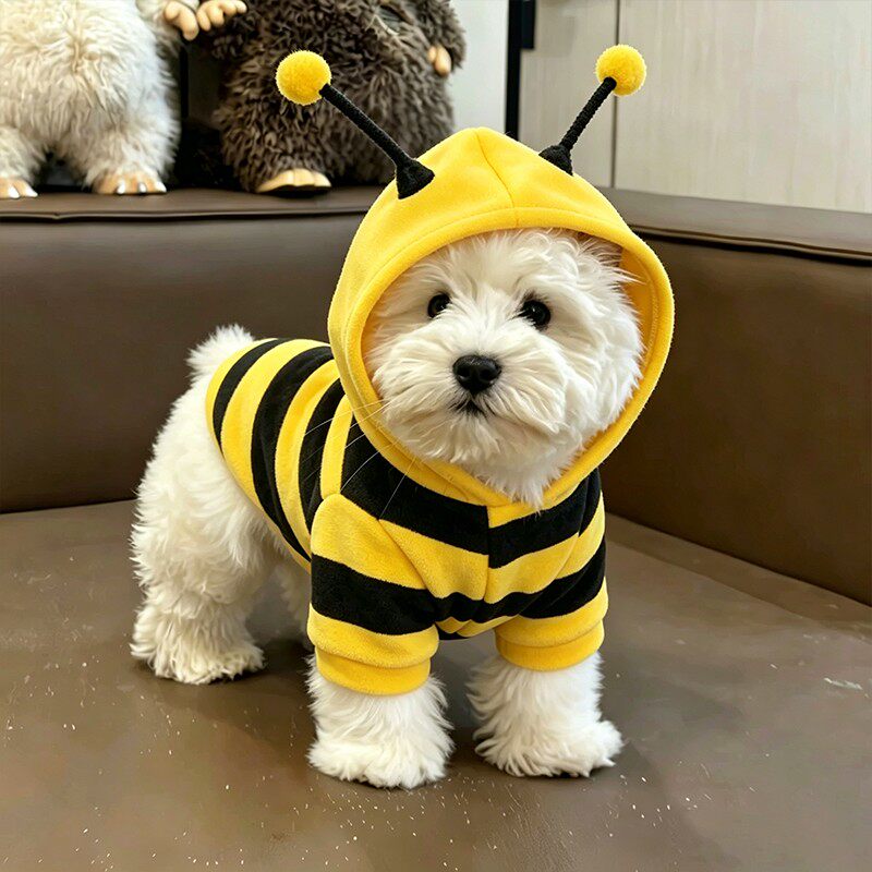 春秋保暖蜜蜂装小型犬猫卫衣
