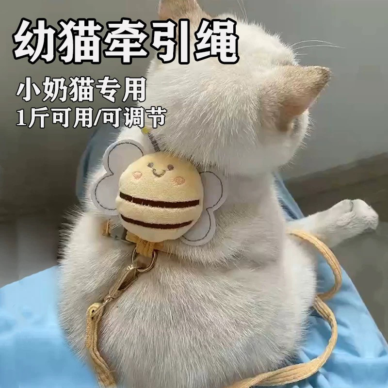幼猫牵引绳超小号小奶猫遛猫绳防挣脱猫咪链子1-3斤工字型背带