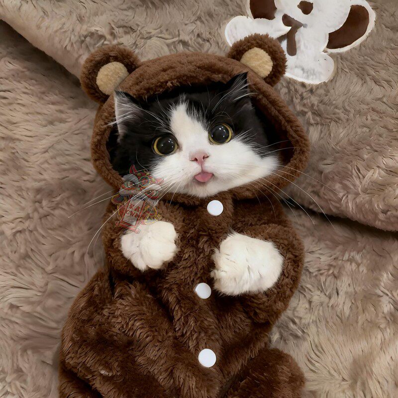阿莫尔猫狗小熊毛绒连帽四脚衣