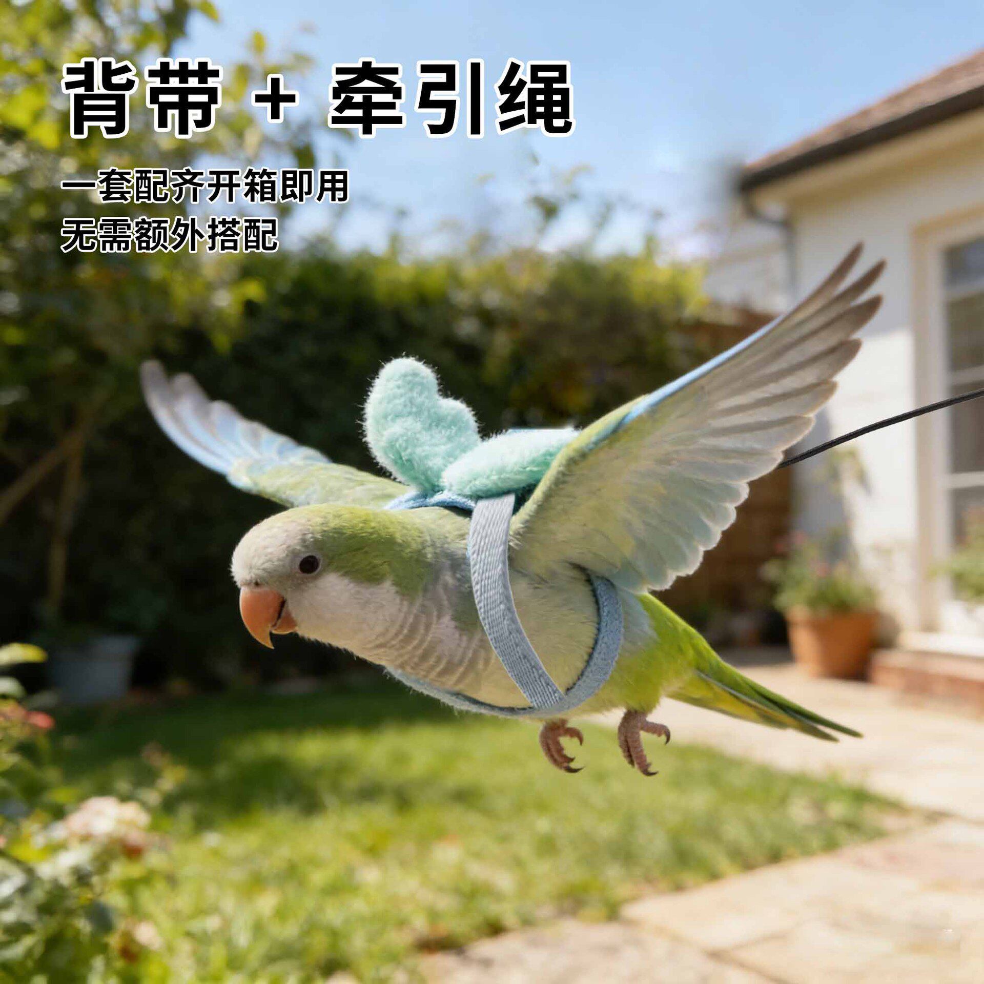 阿莫尔鹦鹉放飞牵引绳超轻不伤脚