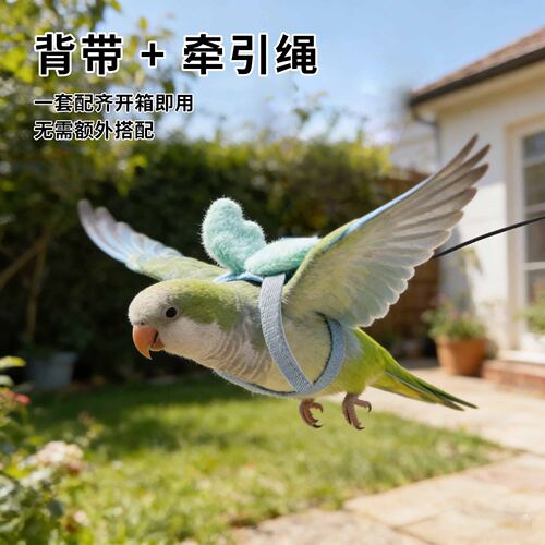 阿莫尔鹦鹉放飞牵引绳超轻不伤脚