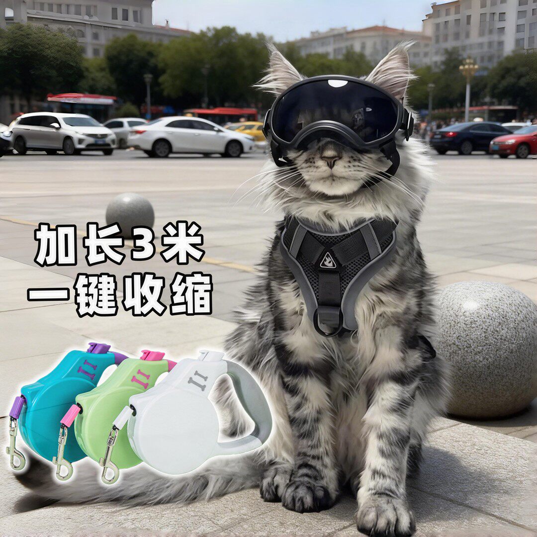猫咪牵引绳背心式外出防挣脱遛猫神器缅因布偶金渐层溜猫伸缩链子