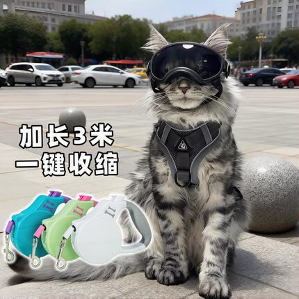 猫咪牵引绳背心式外出防挣脱遛猫神器缅因布偶金渐层溜猫伸缩链子
