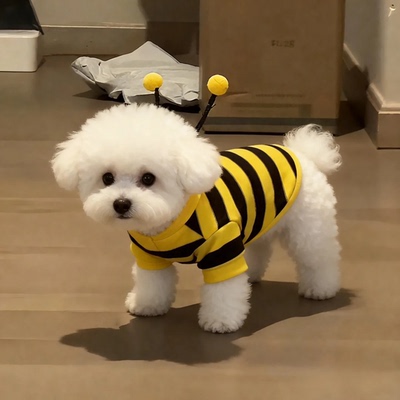 小蜜蜂狗狗衣服秋冬装