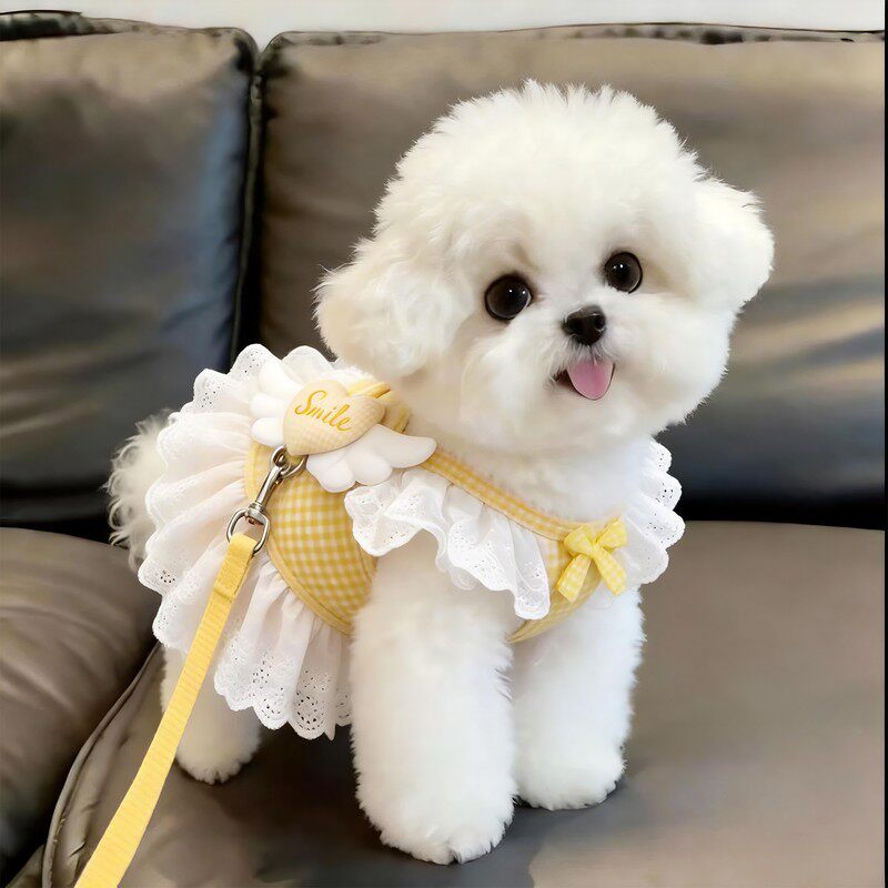 小狗狗牵引绳背心式胸背小型犬遛狗绳可爱狗背带比熊泰迪宠物用品