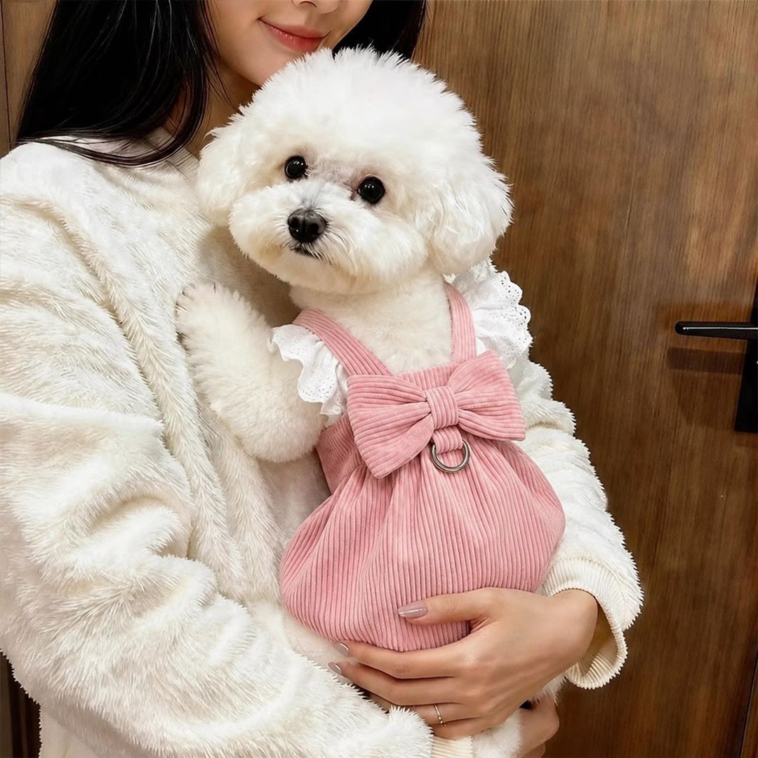 宠物衣服秋冬新款灯芯绒南瓜裙牵引扣泰迪比熊狗狗猫咪保暖蕾丝裙图片