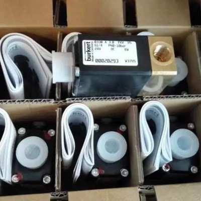 burkert宝德流量计SE35/8035涡轮流量计00423916/00423915叶轮式