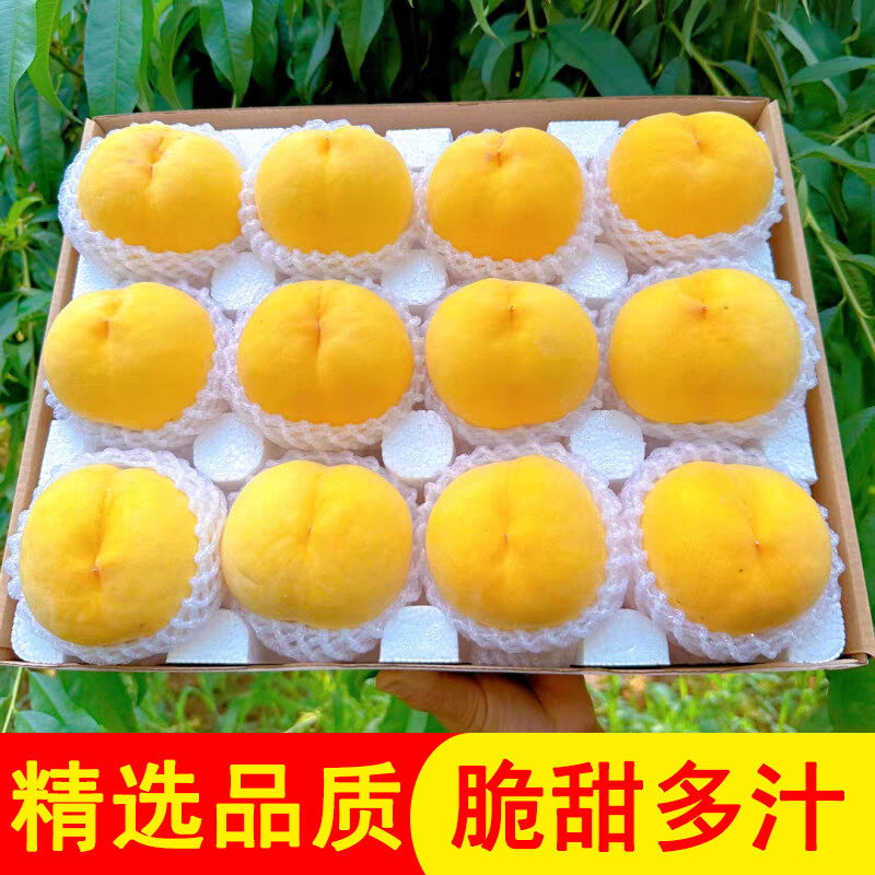 陕西黄桃西瑞桃现摘拍下秒发
