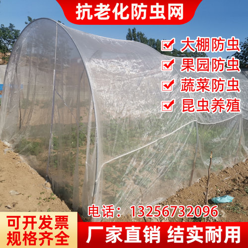 农业防虫网蚂蚱养殖防蚊蝇纯聚乙烯抗老化果树罩防鸟网防虫大棚网