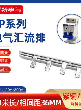 2P20A-200A汇流排紫铜黄铜32/40/63A空开连接排断路器100A接线排