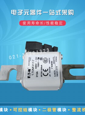 快速熔断器保险丝170M3058 3059 3060 3061 3062 3063 3064 3065