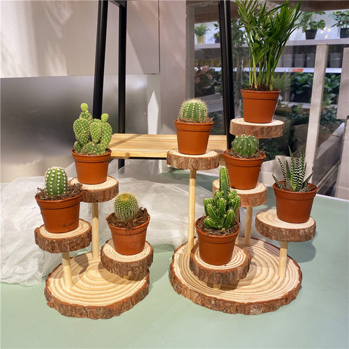 多肉花架阳台桌面摆件原木植物摆放展架多层陈列拍照道具装饰组合