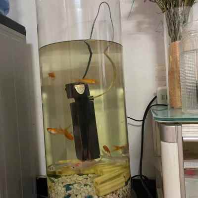 厂促亚克力管透明水族有机玻璃管圆管圆筒鱼缸圆柱形外径500厚510