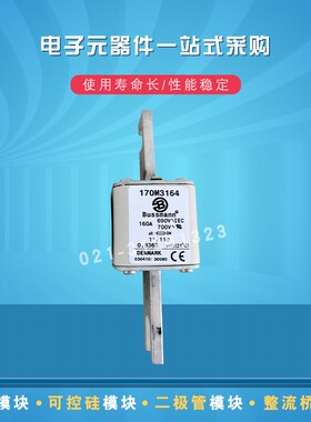 巴斯曼快速熔断器170M3161 3162 3163 3164 3165 3166 3167 3168