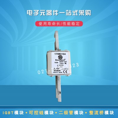 巴斯曼快速熔断器170M3161 3162 3163 3164 3165 3166 3167 3168