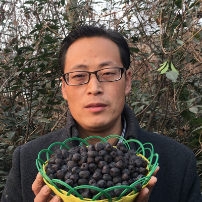 沂蒙山新鲜无核小黑枣君迁子软枣小柿子软枣子黑枣子500g