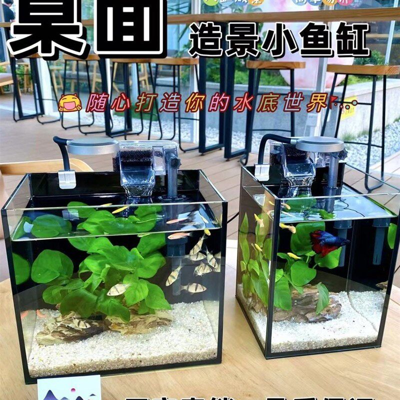 超白加厚方形玻璃鱼缸客厅办公桌面创意夜灯小型斗鱼缸生态迷厂家