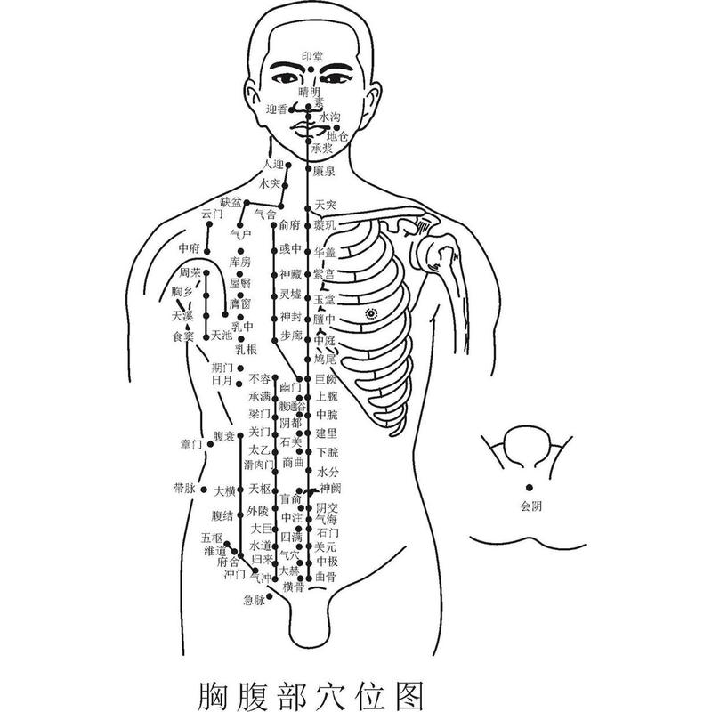 胸腹部穴位图海报展板背部穴位图下肢外侧穴位图下肢内侧穴位图