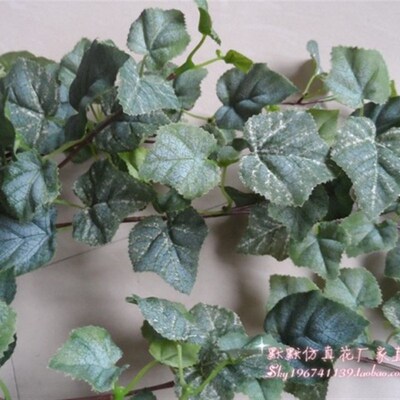 高仿真1米长刷白迷你提q子叶葡萄叶挂藤墙上 装饰植物藤条仿真藤