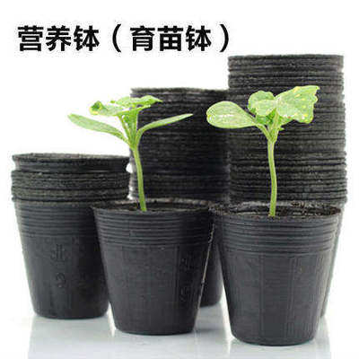 营养钵育秧苗盆杯塑料r蔬菜花卉苗木培育种植加厚穴盆袋包邮