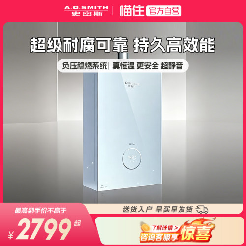 【重磅新品小精钢TCS5】AO史密斯佳尼特玻璃面板燃气热水器768
