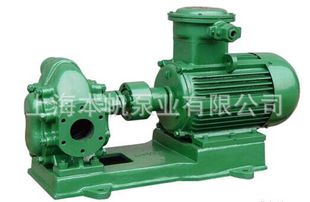 离心油泵导热油泵齿轮式 离心油泵不锈钢自吸式 输油泵 1自吸式 CYZ