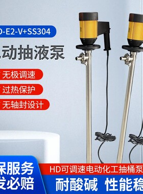 HD-E2-V+SS316L-1000插桶泵手提式桶泵|电动抽液泵强耐腐蚀油桶泵