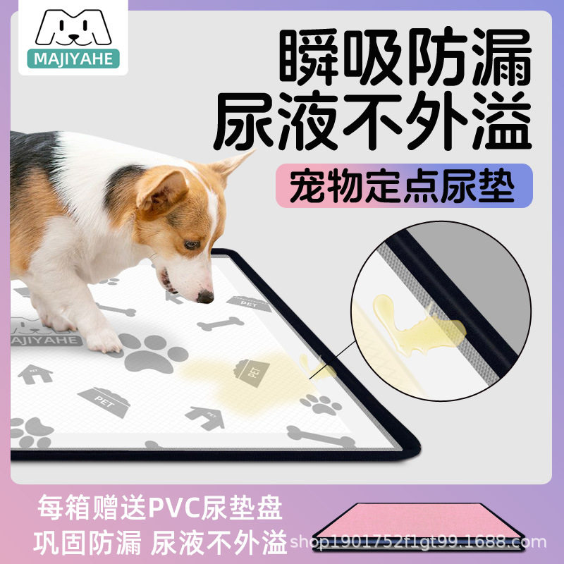 MAJIYAHE宠物定点尿垫定点如厕垫瞬吸防漏诱导香味狗狗尿垫赠盘