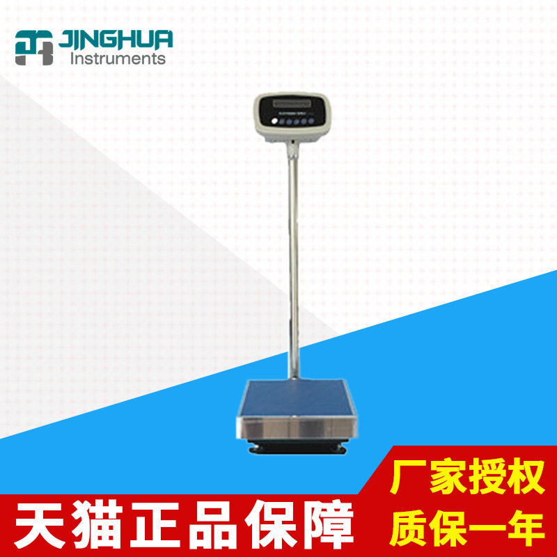 上海YP系列精密天平1g大称量