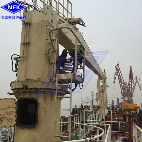 批发船舶克令吊PFXS-180-M-L-00-0000-000油泵油封密封配件修理包