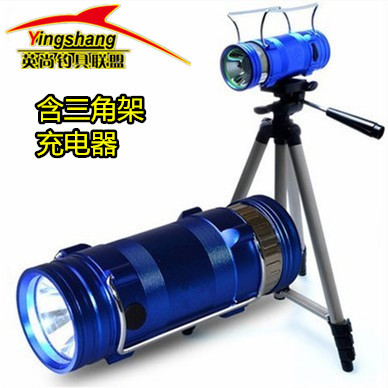 龙马 双光源照漂充电夜钓灯 蓝光+白光双头LED5W 钓鱼灯