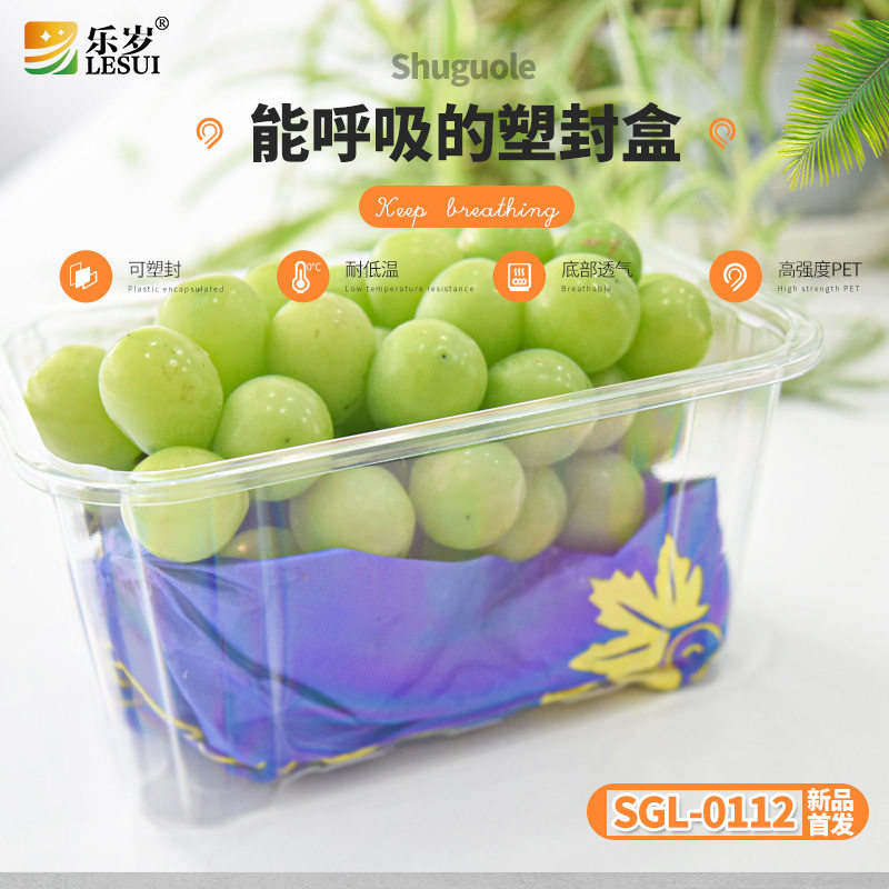 蔬果乐现货透明塑料一次性包装盒食品蔬果内托水果盒底打孔不带盖
