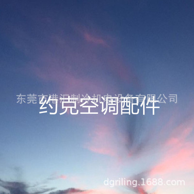 约克滤芯531B0099H01 垫片175W26646-000 175W21364-018